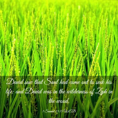 Picture 03 - 1 Samuel 23:15 WEB - David saw that Saul had come out to seek his - Bible Verse Picture