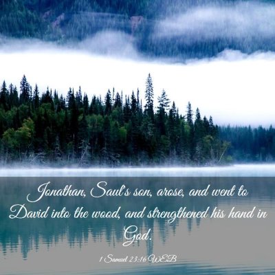 Picture 03 - 1 Samuel 23:16 WEB - Jonathan, Saul's son, arose, and went to David - Bible Verse Picture