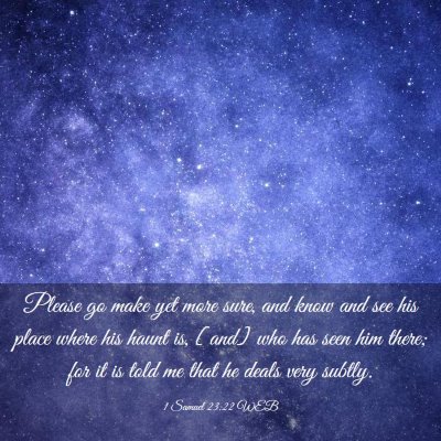 Picture 03 - 1 Samuel 23:22 WEB - Please go make yet more sure, and know and see - Bible Verse Picture
