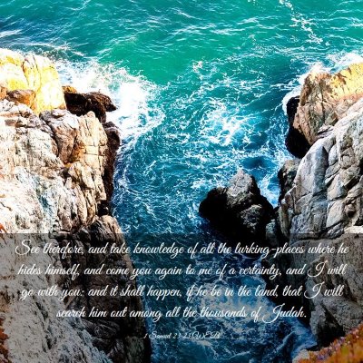 Picture 03 - 1 Samuel 23:23 WEB - See therefore, and take knowledge of all the - Bible Verse Picture