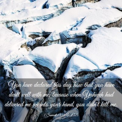Picture 03 - 1 Samuel 24:18 WEB - You have declared this day how that you have - Bible Verse Picture