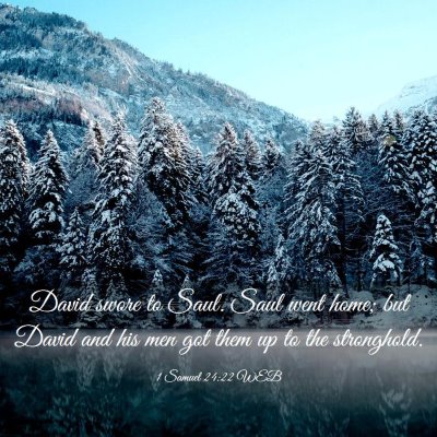 Picture 03 - 1 Samuel 24:22 WEB - David swore to Saul. Saul went home; but David - Bible Verse Picture