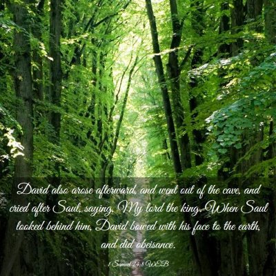 Picture 03 - 1 Samuel 24:8 WEB - David also arose afterward, and went out of the - Bible Verse Picture