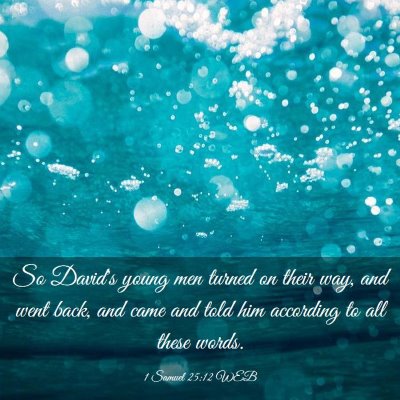 Picture 03 - 1 Samuel 25:12 WEB - So David's young men turned on their way, and - Bible Verse Picture