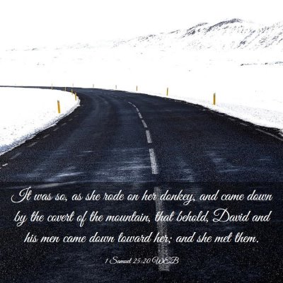 Picture 03 - 1 Samuel 25:20 WEB - It was so, as she rode on her donkey, and came - Bible Verse Picture