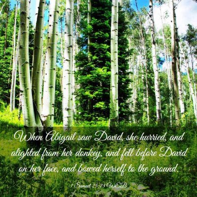 Picture 03 - 1 Samuel 25:23 WEB - When Abigail saw David, she hurried, and alighted - Bible Verse Picture