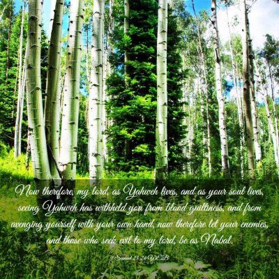 Picture 03 - 1 Samuel 25:26 WEB - Now therefore, my lord, as Yahweh lives, and as - Bible Verse Picture