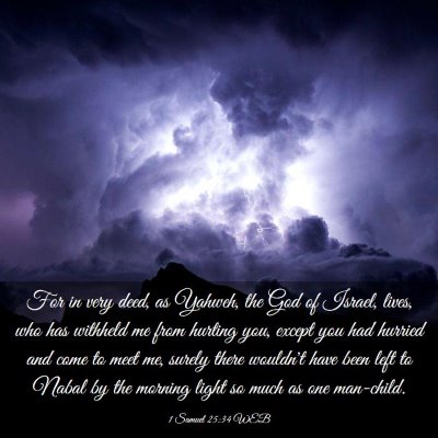 Picture 03 - 1 Samuel 25:34 WEB - For in very deed, as Yahweh, the God of Israel, - Bible Verse Picture