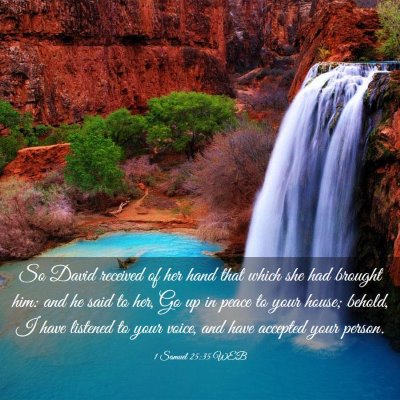 Picture 03 - 1 Samuel 25:35 WEB - So David received of her hand that which she had - Bible Verse Picture