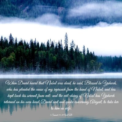 Picture 03 - 1 Samuel 25:39 WEB - When David heard that Nabal was dead, he said, - Bible Verse Picture