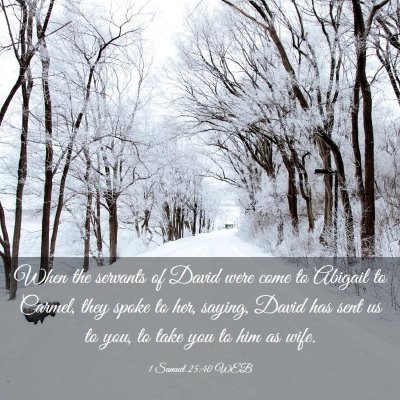 Picture 03 - 1 Samuel 25:40 WEB - When the servants of David were come to Abigail - Bible Verse Picture