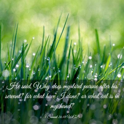 Picture 03 - 1 Samuel 26:18 WEB - He said, Why does my lord pursue after his - Bible Verse Picture