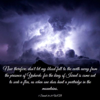 Picture 03 - 1 Samuel 26:20 WEB - Now therefore, don't let my blood fall to the - Bible Verse Picture