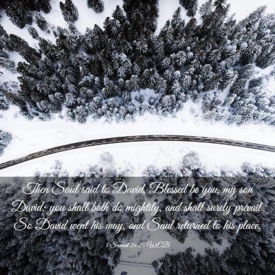 Picture 03 - 1 Samuel 26:25 WEB - Then Saul said to David, Blessed be you, my son - Bible Verse Picture