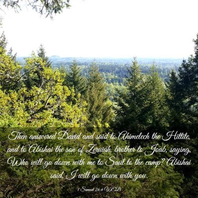 Picture 03 - 1 Samuel 26:6 WEB - Then answered David and said to Ahimelech the - Bible Verse Picture