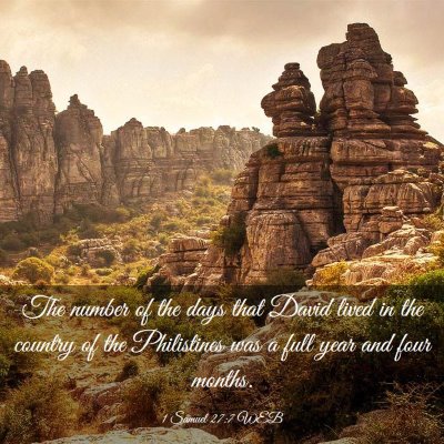 Picture 03 - 1 Samuel 27:7 WEB - The number of the days that David lived in the - Bible Verse Picture