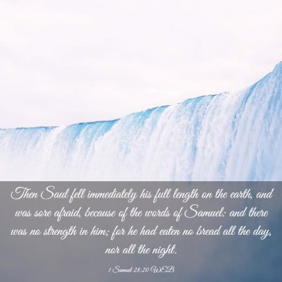 Picture 03 - 1 Samuel 28:20 WEB - Then Saul fell immediately his full length on the - Bible Verse Picture