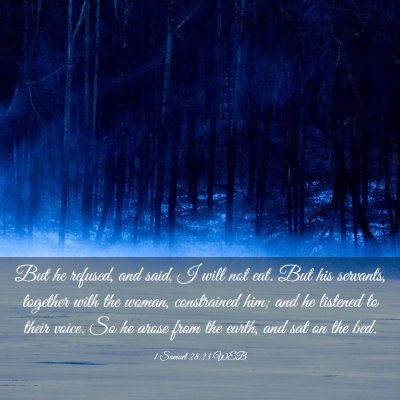 Picture 03 - 1 Samuel 28:23 WEB - But he refused, and said, I will not eat. But his - Bible Verse Picture