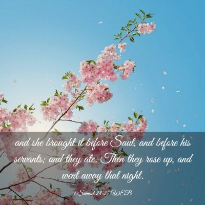 Picture 03 - 1 Samuel 28:25 WEB - and she brought it before Saul, and before his - Bible Verse Picture