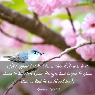 Picture 03 - 1 Samuel 3:2 WEB - It happened at that time, when Eli was laid down - Bible Verse Picture