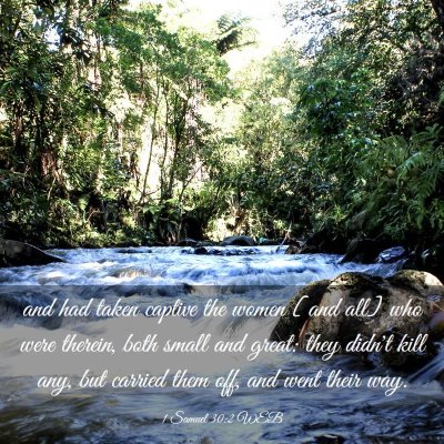 Picture 03 - 1 Samuel 30:2 WEB - and had taken captive the women [and all] who - Bible Verse Picture