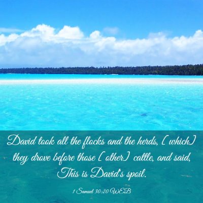 Picture 03 - 1 Samuel 30:20 WEB - David took all the flocks and the herds, [which] - Bible Verse Picture