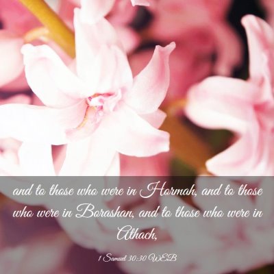 Picture 03 - 1 Samuel 30:30 WEB - and to those who were in Hormah, and to those who - Bible Verse Picture