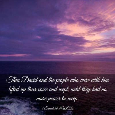 Picture 03 - 1 Samuel 30:4 WEB - Then David and the people who were with him - Bible Verse Picture