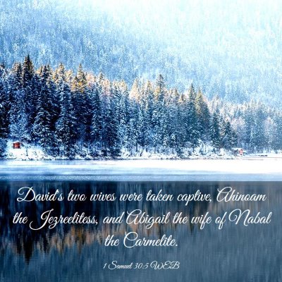 Picture 03 - 1 Samuel 30:5 WEB - David's two wives were taken captive, Ahinoam the - Bible Verse Picture