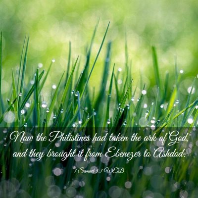 Picture 03 - 1 Samuel 5:1 WEB - Now the Philistines had taken the ark of God, and - Bible Verse Picture