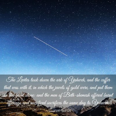 Picture 03 - 1 Samuel 6:15 WEB - The Levites took down the ark of Yahweh, and the - Bible Verse Picture