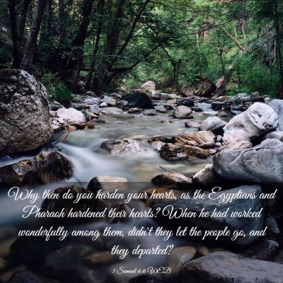 Picture 03 - 1 Samuel 6:6 WEB - Why then do you harden your hearts, as the - Bible Verse Picture