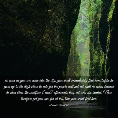 Picture 03 - 1 Samuel 9:13 WEB - as soon as you are come into the city, you shall - Bible Verse Picture