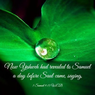 Picture 03 - 1 Samuel 9:15 WEB - Now Yahweh had revealed to Samuel a day before - Bible Verse Picture