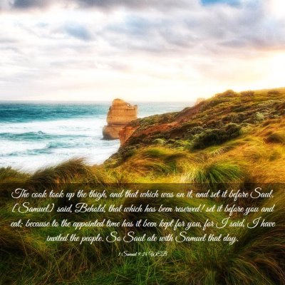 Picture 03 - 1 Samuel 9:24 WEB - The cook took up the thigh, and that which was on - Bible Verse Picture