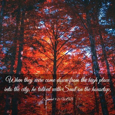 Picture 03 - 1 Samuel 9:25 WEB - When they were come down from the high place into - Bible Verse Picture