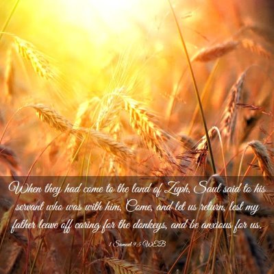 Picture 03 - 1 Samuel 9:5 WEB - When they had come to the land of Zuph, Saul said - Bible Verse Picture