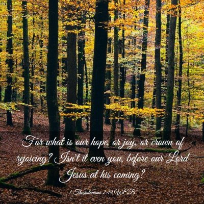 Picture 03 - 1 Thessalonians 2:19 WEB - For what is our hope, or joy, or crown of - Bible Verse Picture