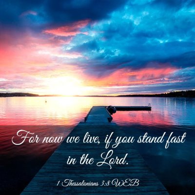 Picture 03 - 1 Thessalonians 3:8 WEB - For now we live, if you stand fast in the - Bible Verse Picture