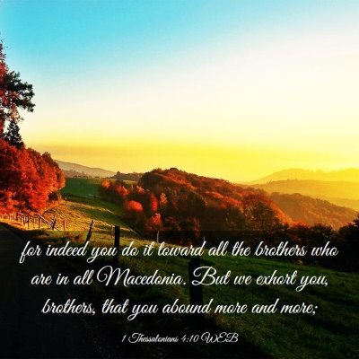 Picture 03 - 1 Thessalonians 4:10 WEB - for indeed you do it toward all the brothers who - Bible Verse Picture