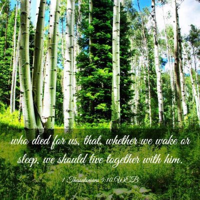 Picture 03 - 1 Thessalonians 5:10 WEB - who died for us, that, whether we wake or sleep, - Bible Verse Picture
