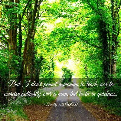 Picture 03 - 1 Timothy 2:12 WEB - But I don't permit a woman to teach, nor to - Bible Verse Picture