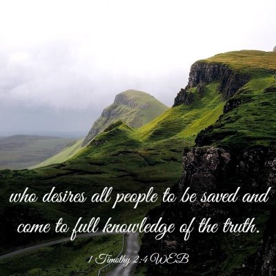 Picture 03 - 1 Timothy 2:4 WEB - who desires all people to be saved and come to - Bible Verse Picture