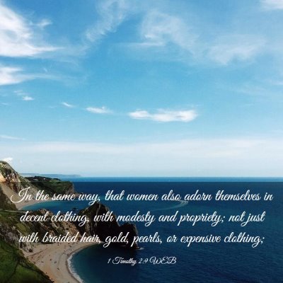 Picture 03 - 1 Timothy 2:9 WEB - In the same way, that women also adorn themselves - Bible Verse Picture