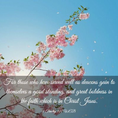 Picture 03 - 1 Timothy 3:13 WEB - For those who have served well as deacons gain to - Bible Verse Picture