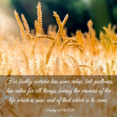 Picture 03 - 1 Timothy 4:8 WEB - For bodily exercise has some value, but godliness - Bible Verse Picture