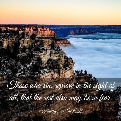 Picture 03 - 1 Timothy 5:20 WEB - Those who sin, reprove in the sight of all, that - Bible Verse Picture