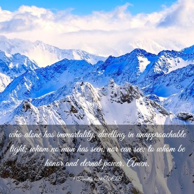 Picture 03 - 1 Timothy 6:16 WEB - who alone has immortality, dwelling in - Bible Verse Picture