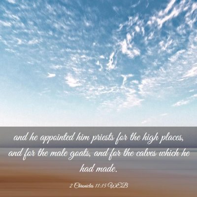 Picture 03 - 2 Chronicles 11:15 WEB - and he appointed him priests for the high places, - Bible Verse Picture