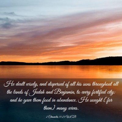 Picture 03 - 2 Chronicles 11:23 WEB - He dealt wisely, and dispersed of all his sons - Bible Verse Picture
